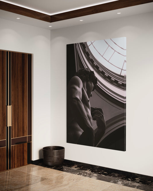 Cuadro decorativo canvas El David 001