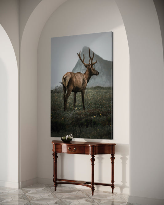 Cuadro decorativo canvas Alce 001