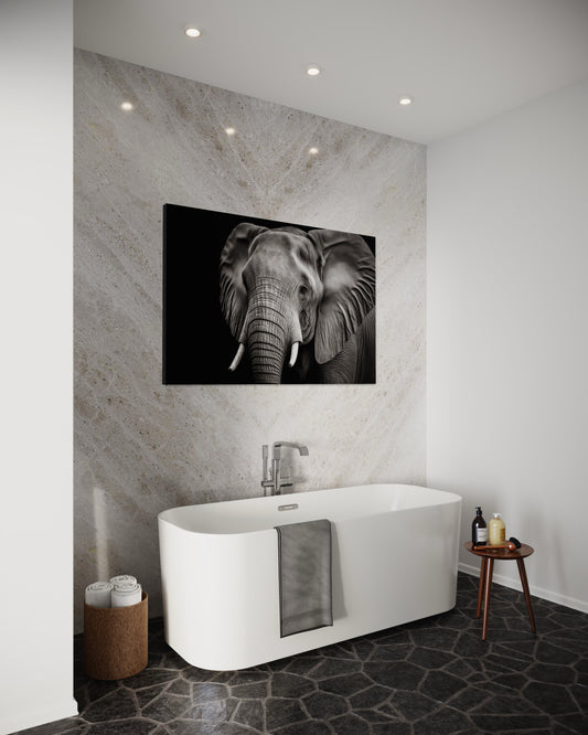 Cuadro decorativo canvas Elefante 003