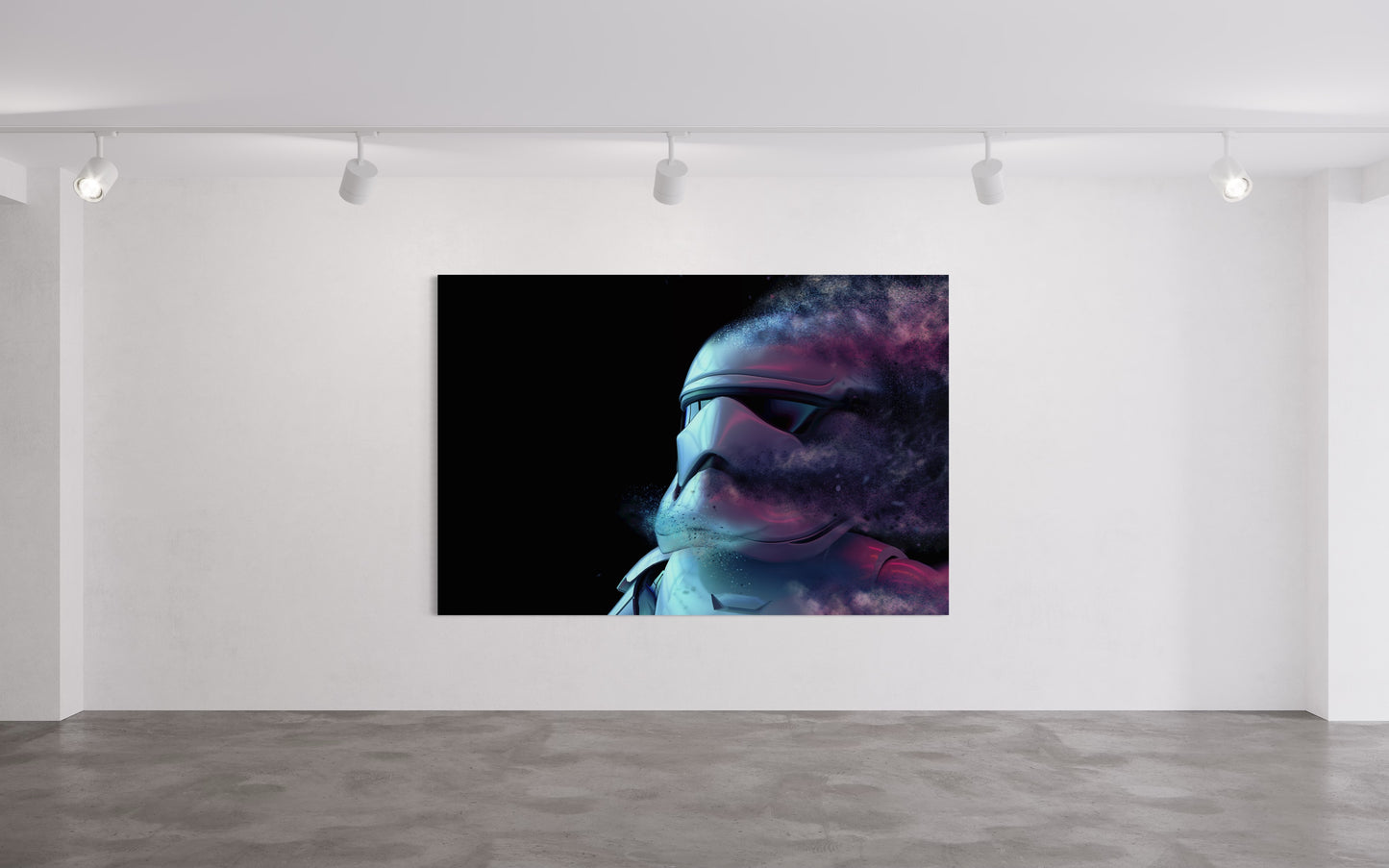 Cuadro decorativo canvas Stormtrooper 003