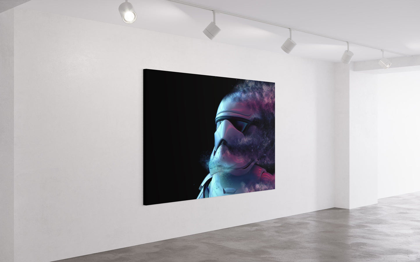 Cuadro decorativo canvas Stormtrooper 003