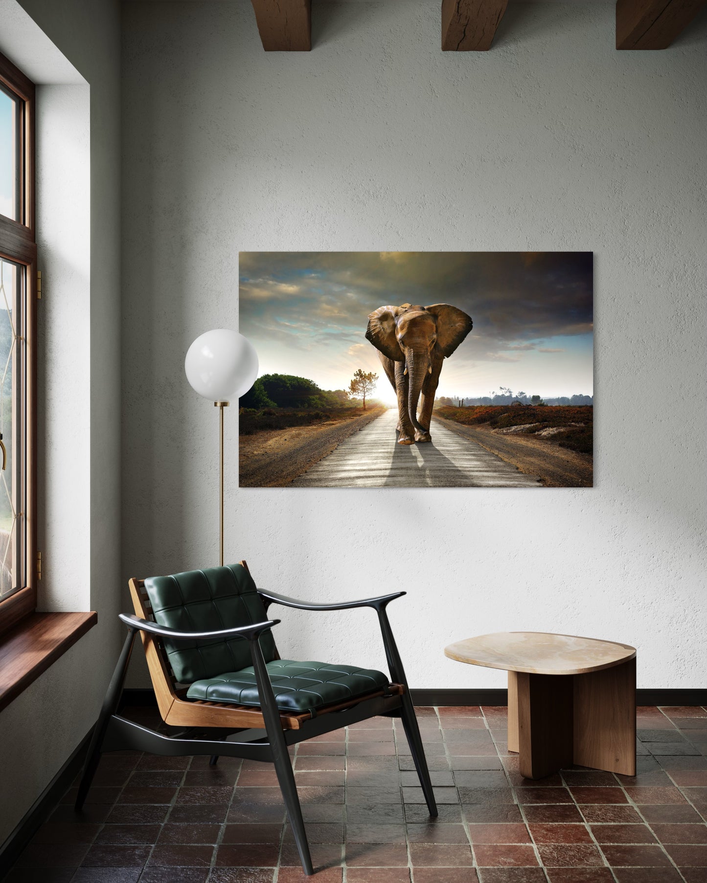 Cuadro decorativo canvas Elefante 006