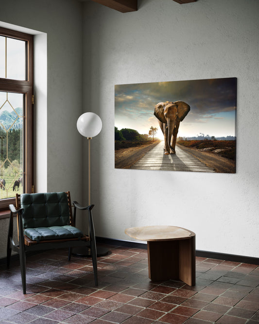 Cuadro decorativo canvas Elefante 006