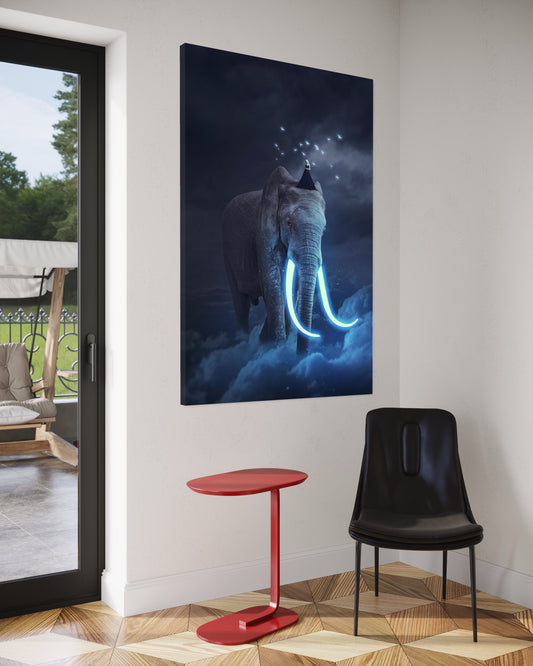 Cuadro decorativo canvas Elefante 007