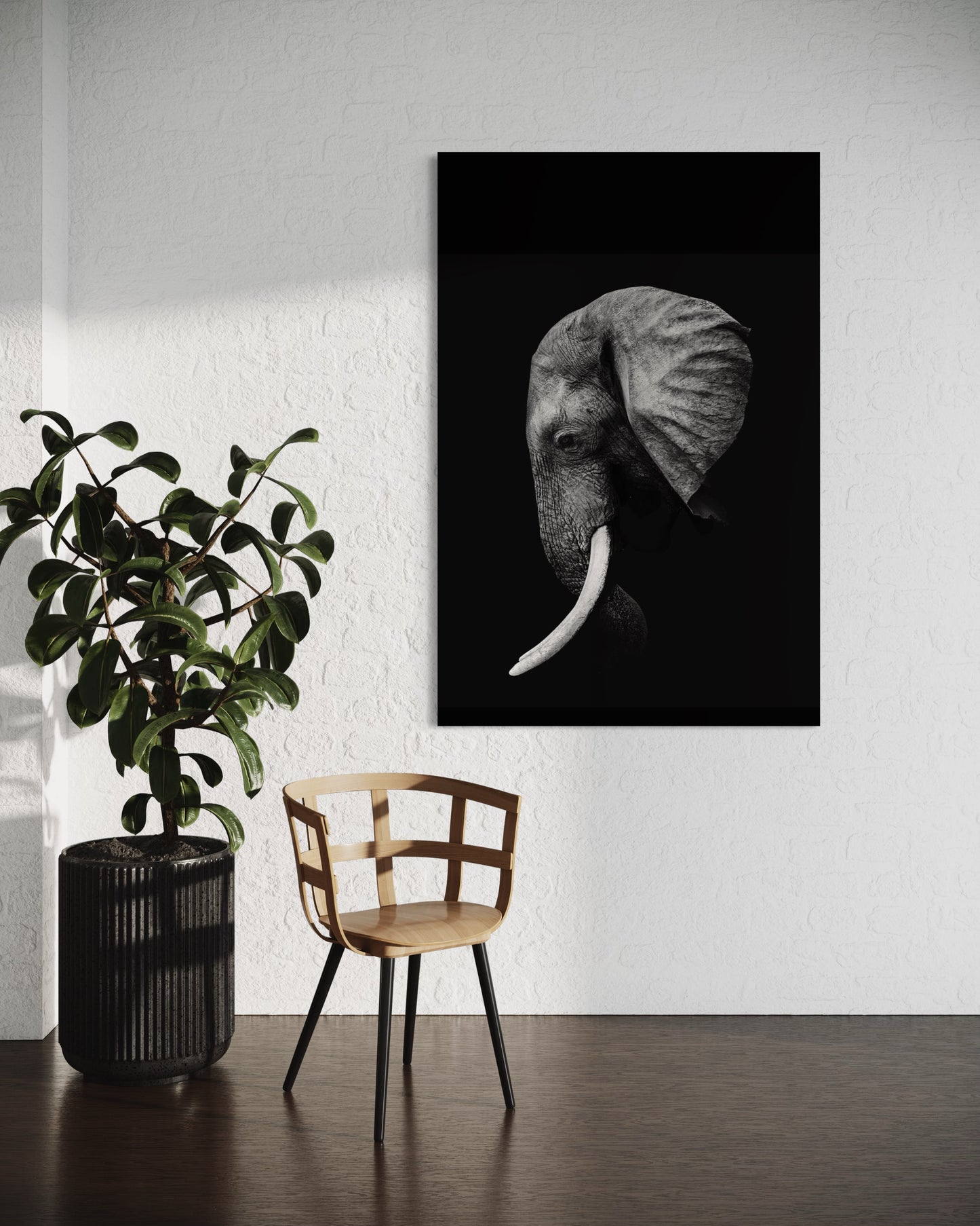 Elefante 001