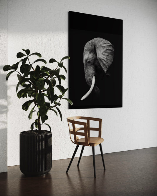 Cuadro decorativo canvas Elefante 001