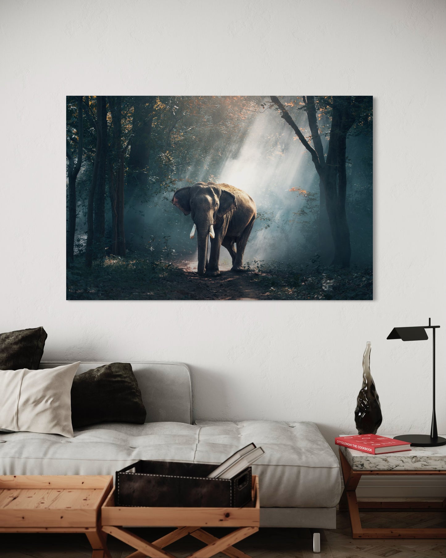Cuadro decorativo canvas Elefante 005