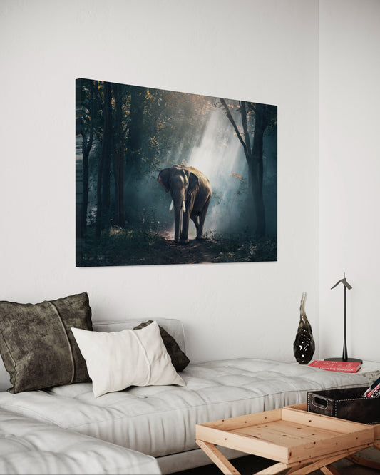 Cuadro decorativo canvas Elefante 005