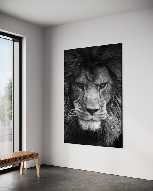 Cuadro decorativo canvas León 001