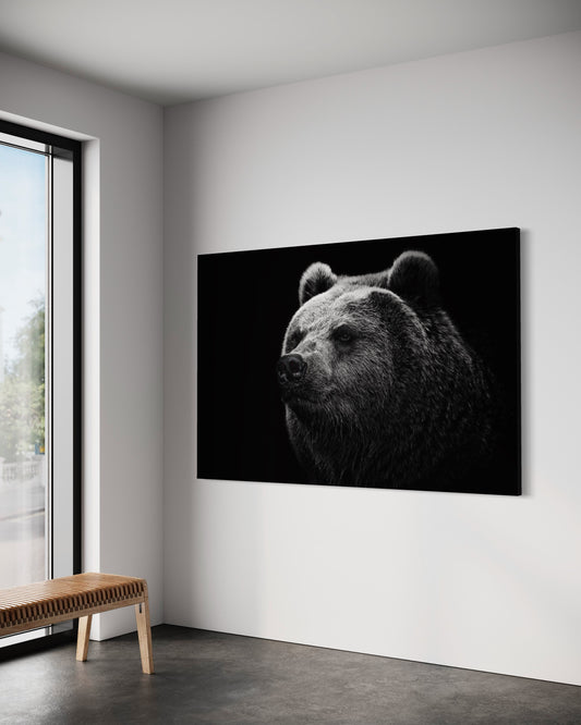 Cuadro decorativo canvas Oso 001