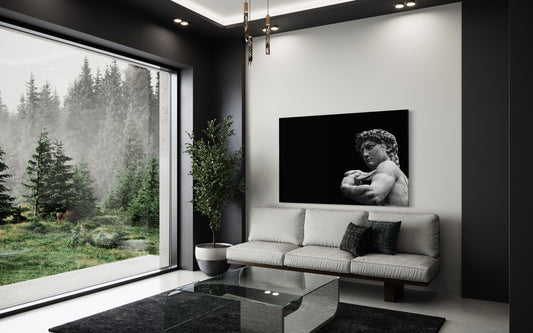 Cuadro decorativo canvas El David 004