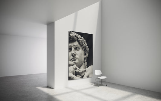 Cuadro decorativo canvas El David 003