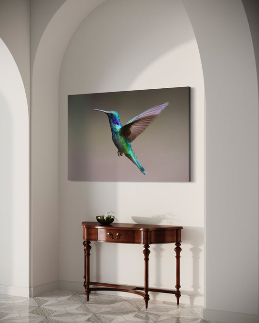 Cuadro decorativo canvas Colibrí 002