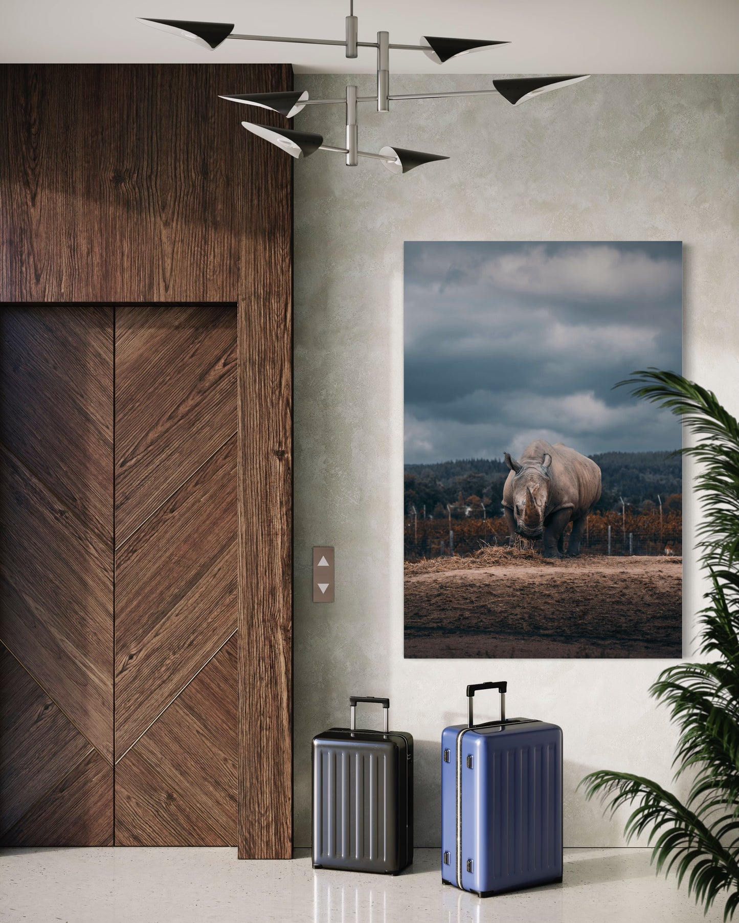 Cuadro decorativo canvas Rinoceronte 002