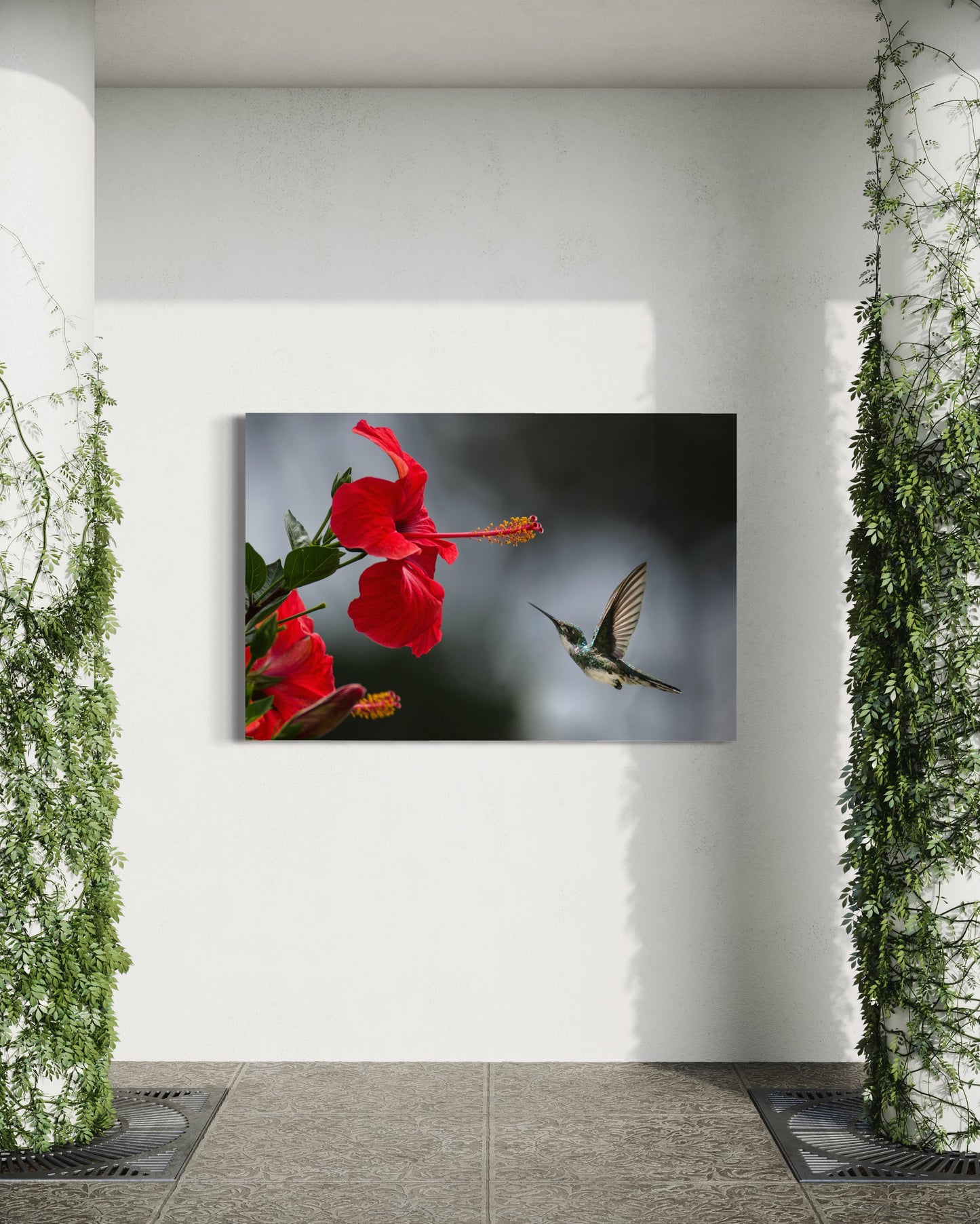 Cuadro decorativo canvas Colibrí 003
