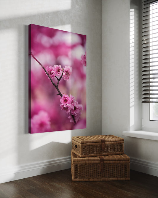 Cuadro decorativo canvas Flores 005