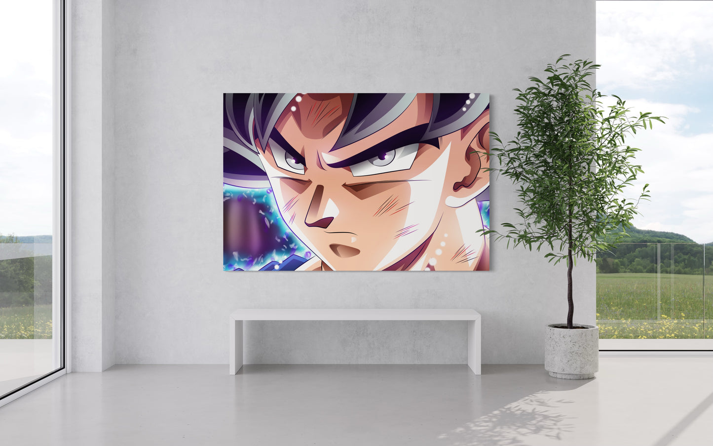 Cuadro decorativo canvas Goku 005