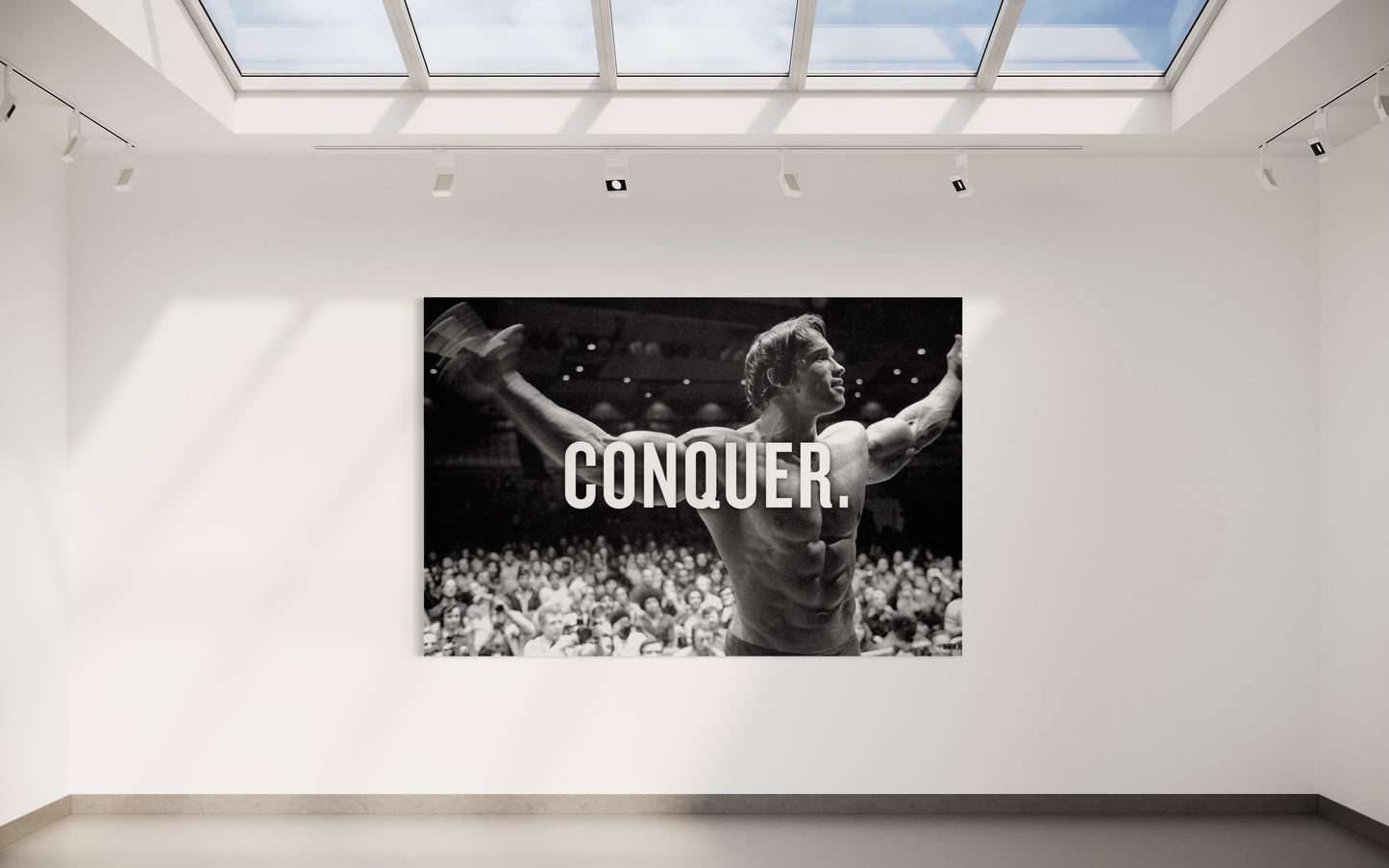 Cuadro decorativo canvas Arnold 002