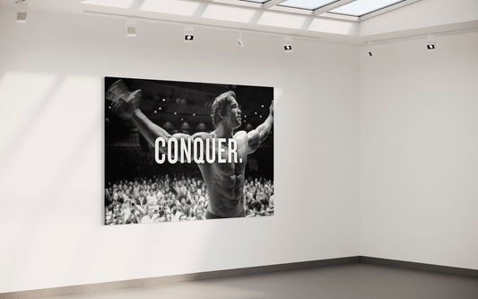 Cuadro decorativo canvas Arnold 002