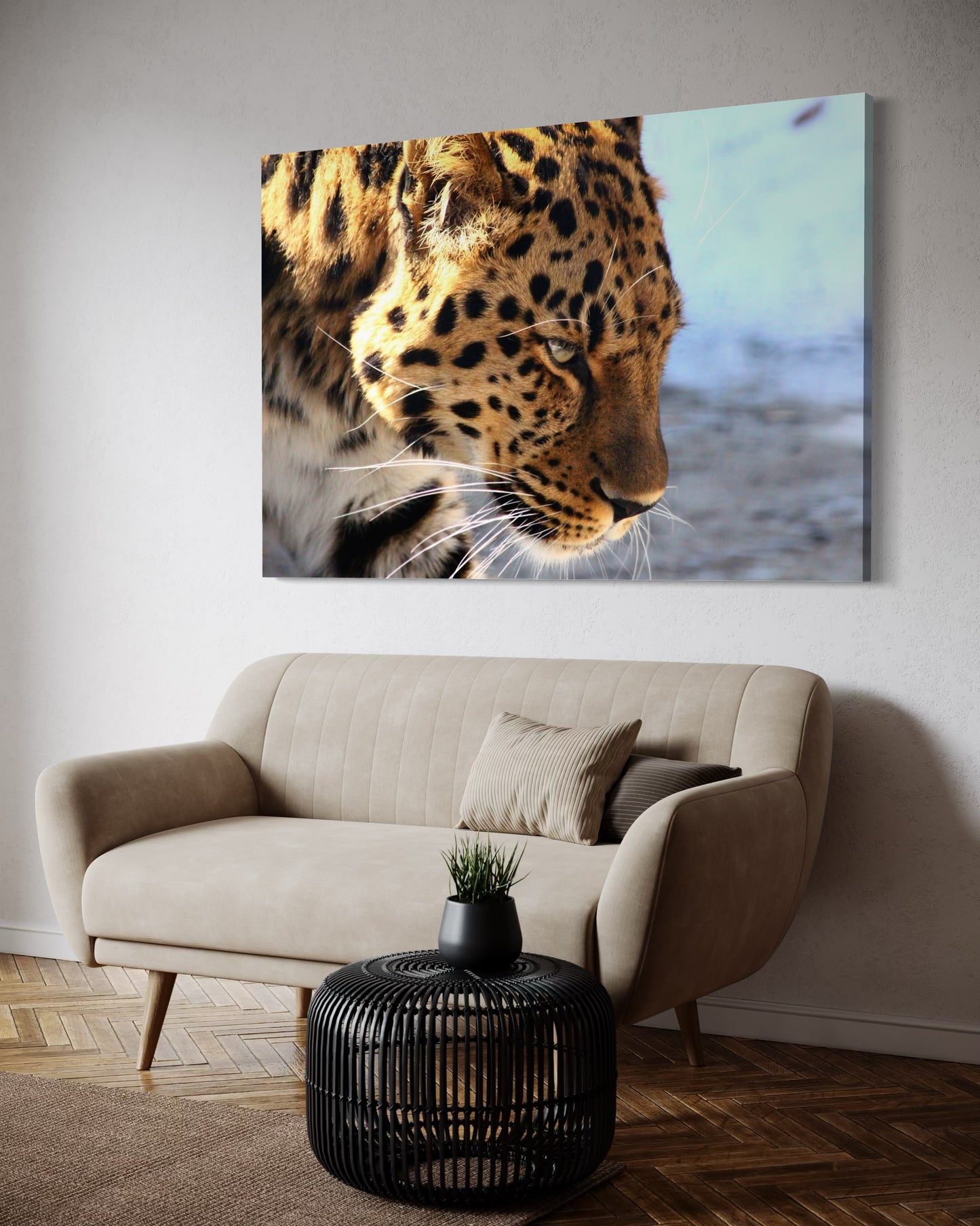 Cuadro decorativo canvas Jaguar 006