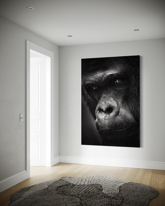 Cuadro decorativo canvas Gorila 002