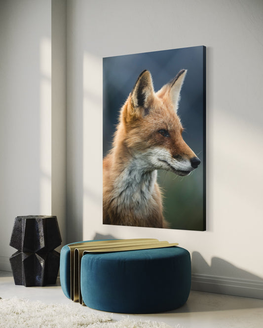 Cuadro decorativo canvas Zorro 001