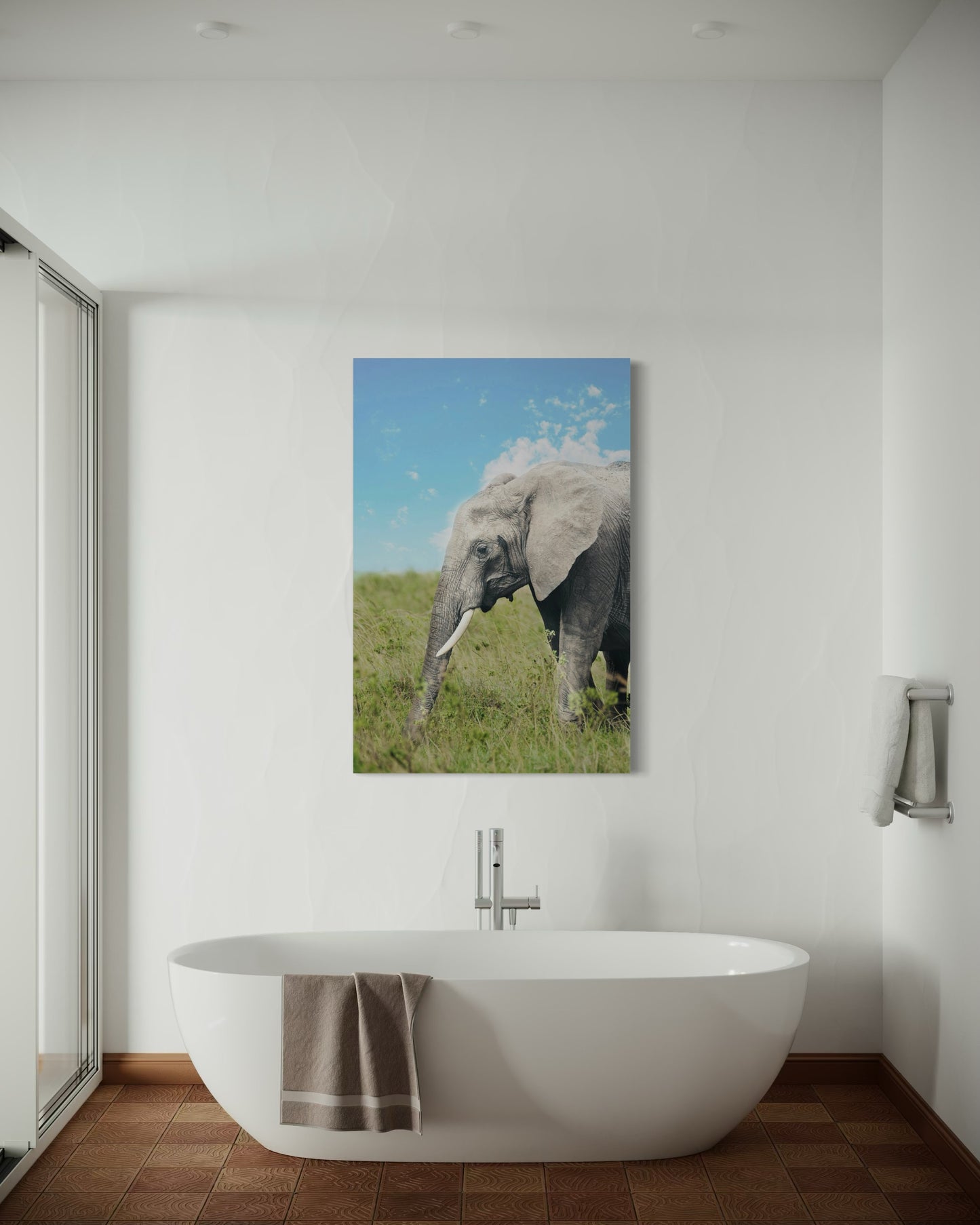 Cuadro decorativo canvas Elefante 008