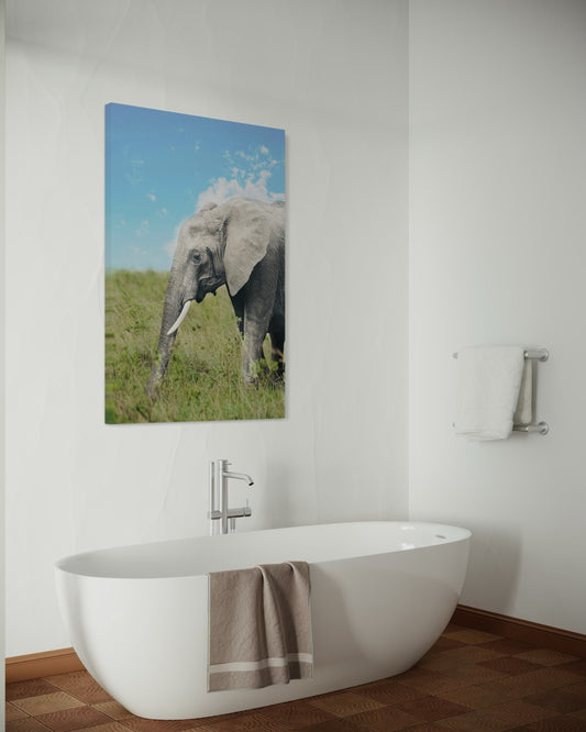 Cuadro decorativo canvas Elefante 008