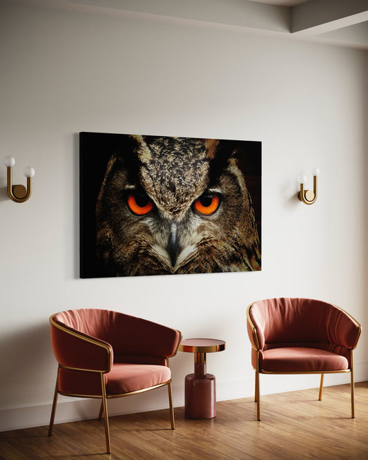 Cuadro decorativo canvas Búho 003