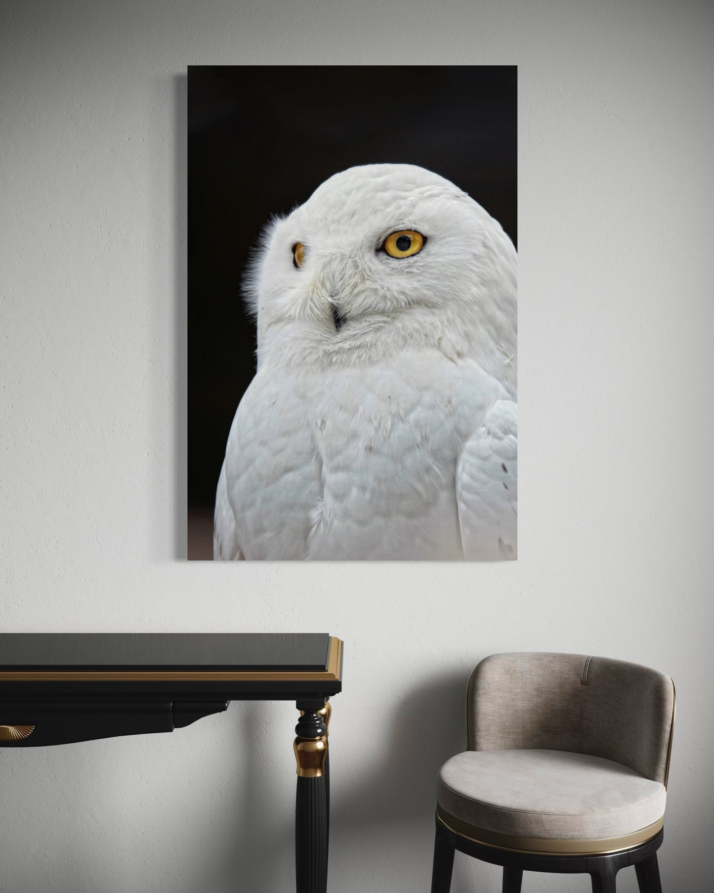 Cuadro decorativo canvas Búho 002