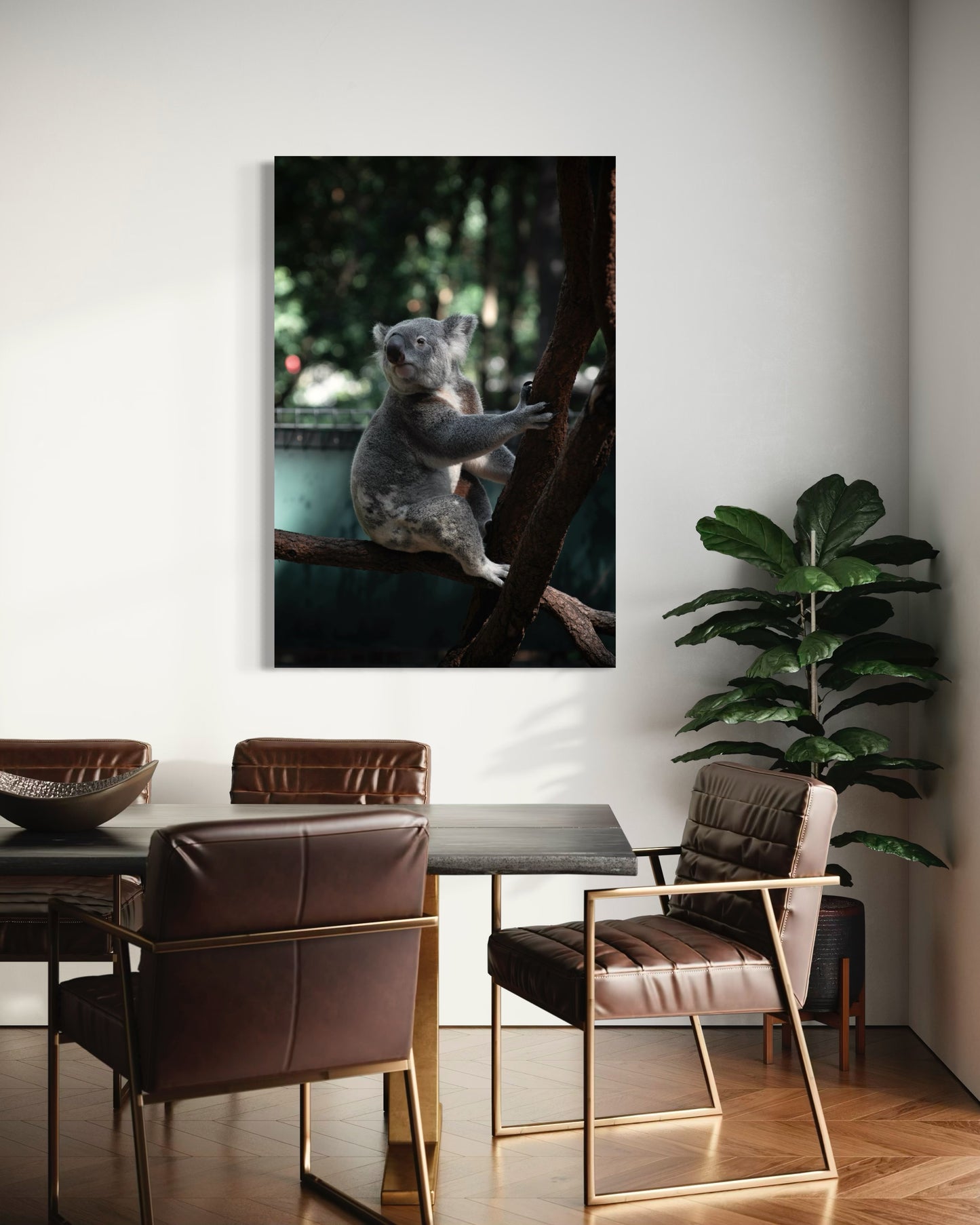 Cuadro decorativo canvas Koala 001