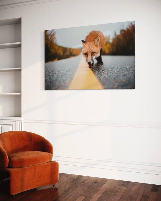 Cuadro decorativo canvas Zorro 002