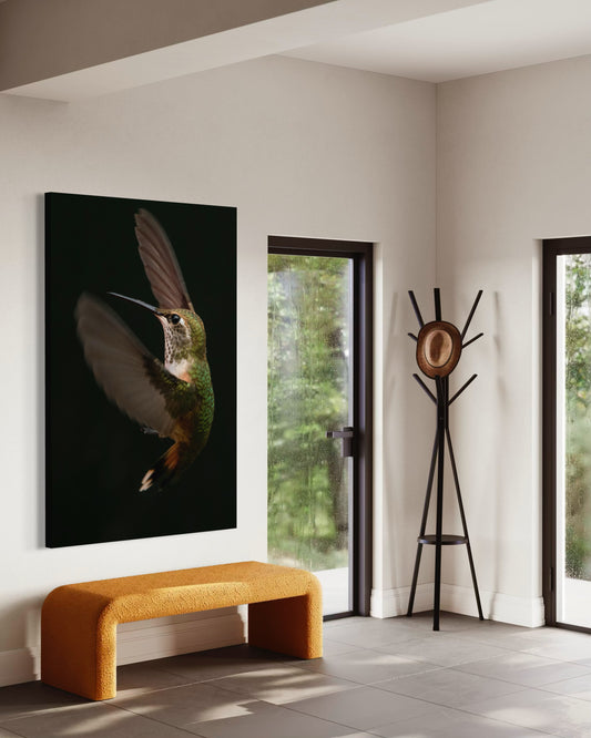 Cuadro decorativo canvas Colibrí 004