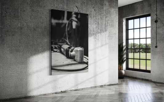 Cuadro decorativo canvas Trimmer 002