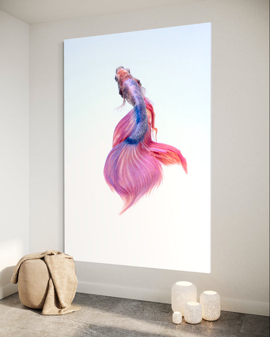 Cuadro decorativo canvas Betta 001