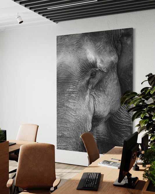 Cuadro decorativo canvas Elefante 004