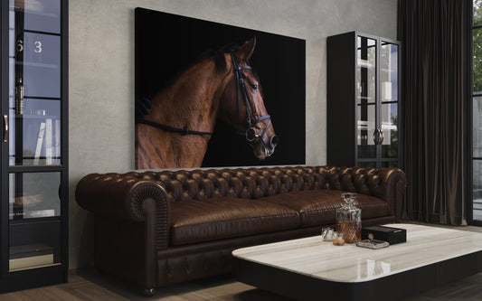 Cuadro decorativo canvas Caballo 002