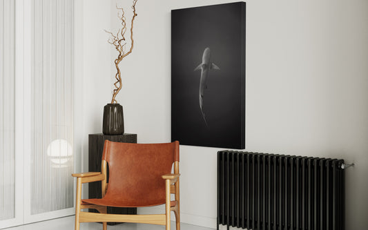 Cuadro decorativo canvas Tiburón 003