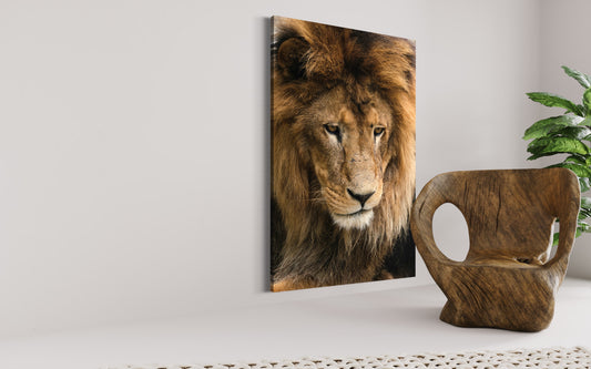 Cuadro decorativo canvas León 005