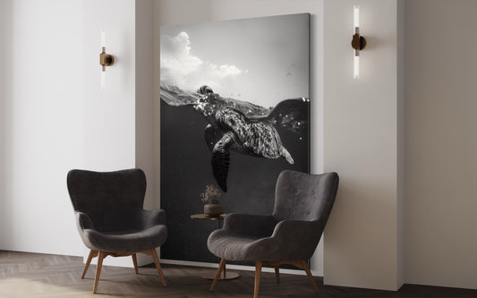 Cuadro decorativo canvas Tortuga 003