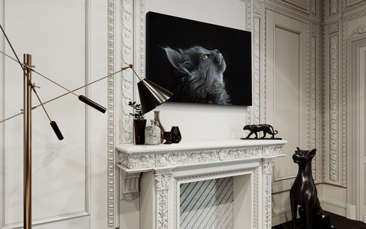 Cuadro decorativo canvas Gato 002