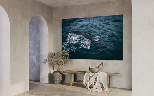 Cuadro decorativo canvas Ballena 001