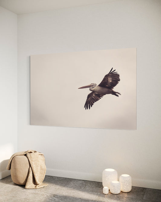 Cuadro decorativo canvas Pelicano 001