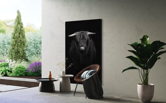 Cuadro decorativo canvas Toro Highland 001