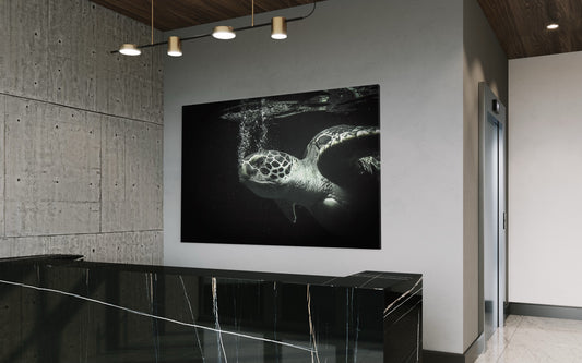 Cuadro decorativo canvas Tortuga 002