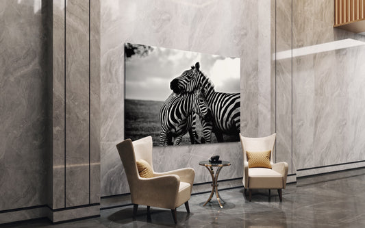Cuadro decorativo canvas Zebras 001