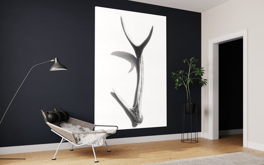 Cuadro decorativo canvas Cuerno 001