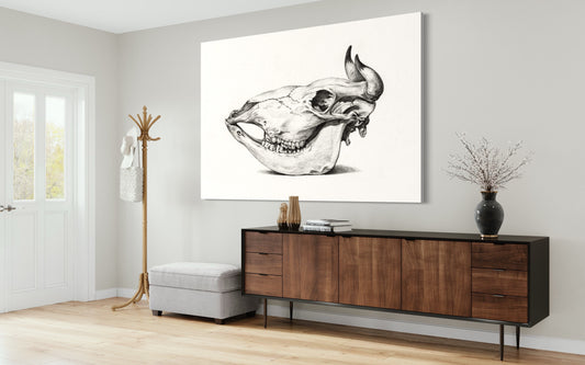 Cuadro decorativo canvas Craneo 001