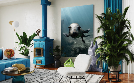 Cuadro decorativo canvas Foca 001