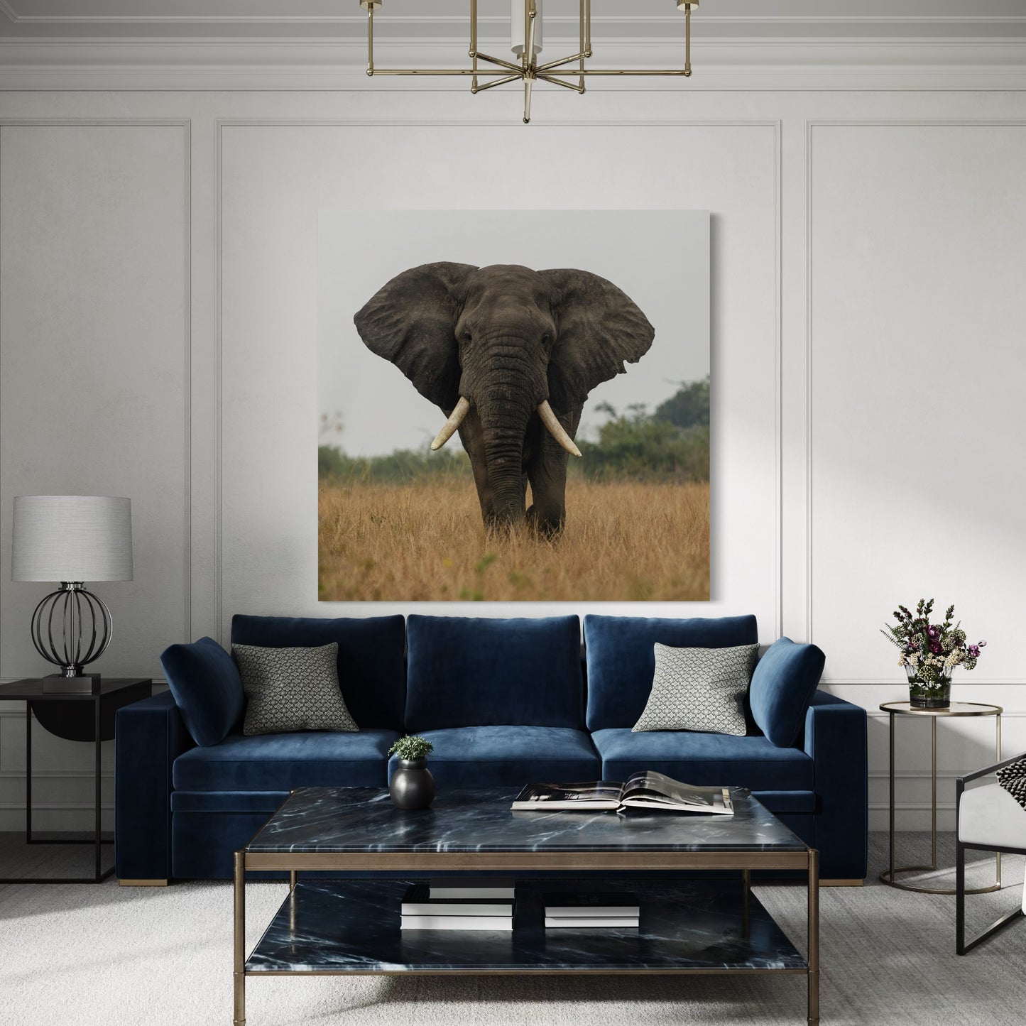Cuadro decorativo canvas Elefante 011